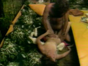 Little Johnny Big Dick