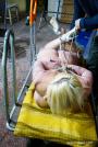 Lilith Lee the chubby ballgagger scene photo 10
