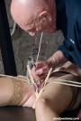 Stretched scene photo 9