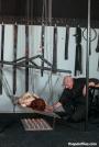 Toasted scene photo 9
