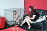 Xinrans Kitten scene photo 4
