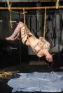 Introducing Reversa scene photo 9