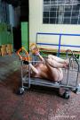 Machine fuck pleasure scene photo 9
