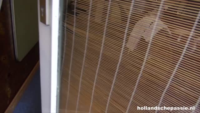 Screenshot uit Boksen met sletten 1