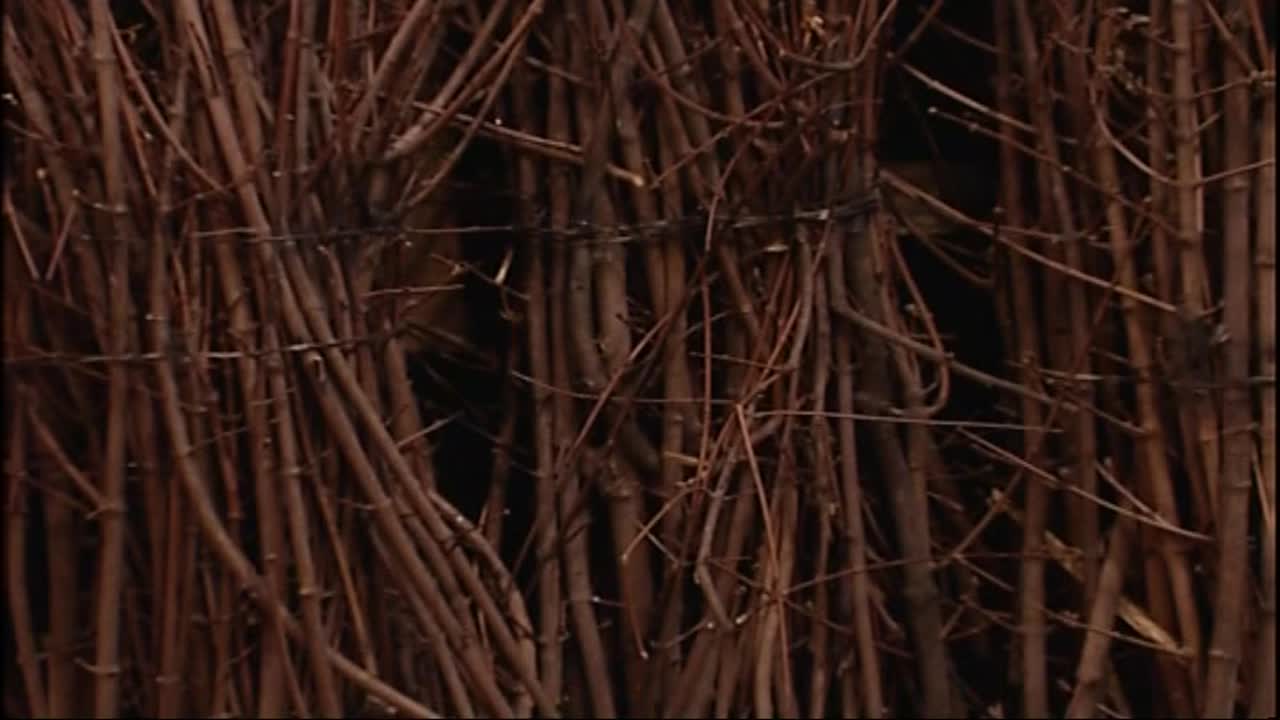 Ready to Spy Upon Ropes and Sex 4