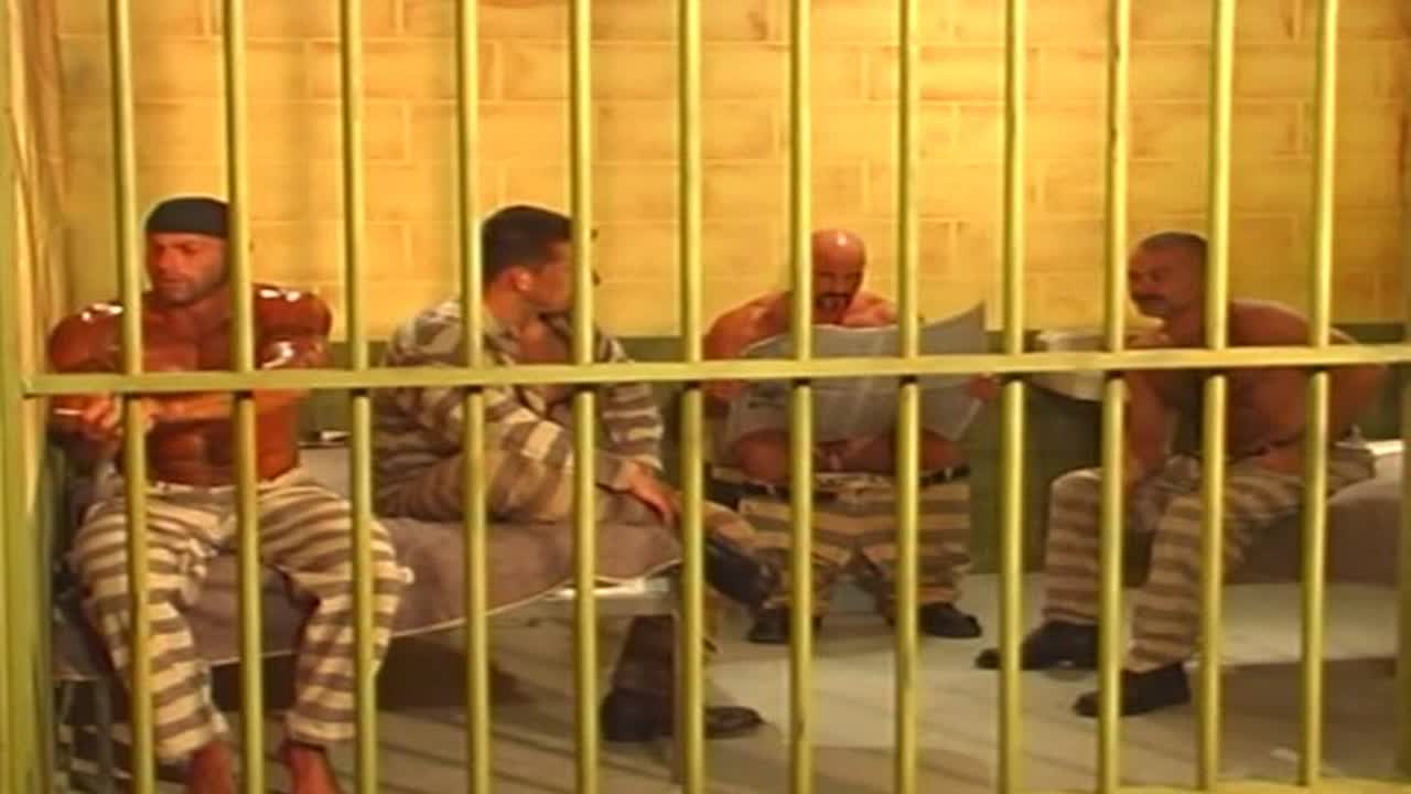 Bear Cage 2