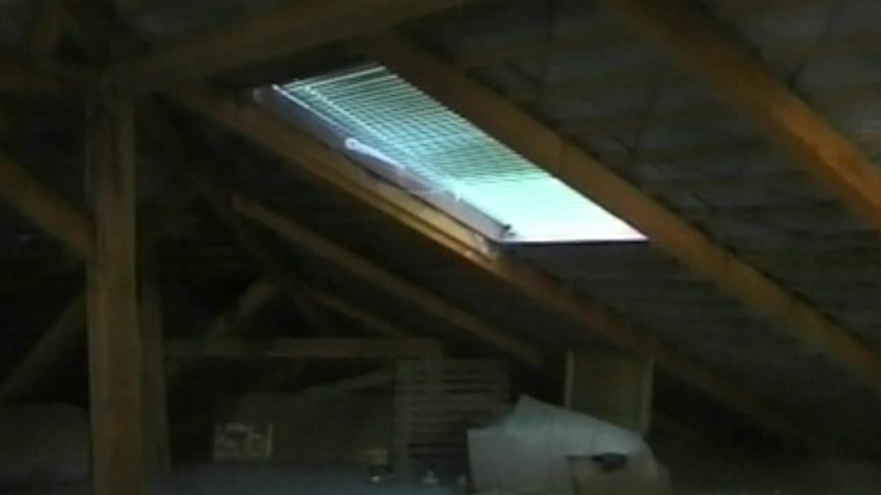 Hungarian College Jocks 3