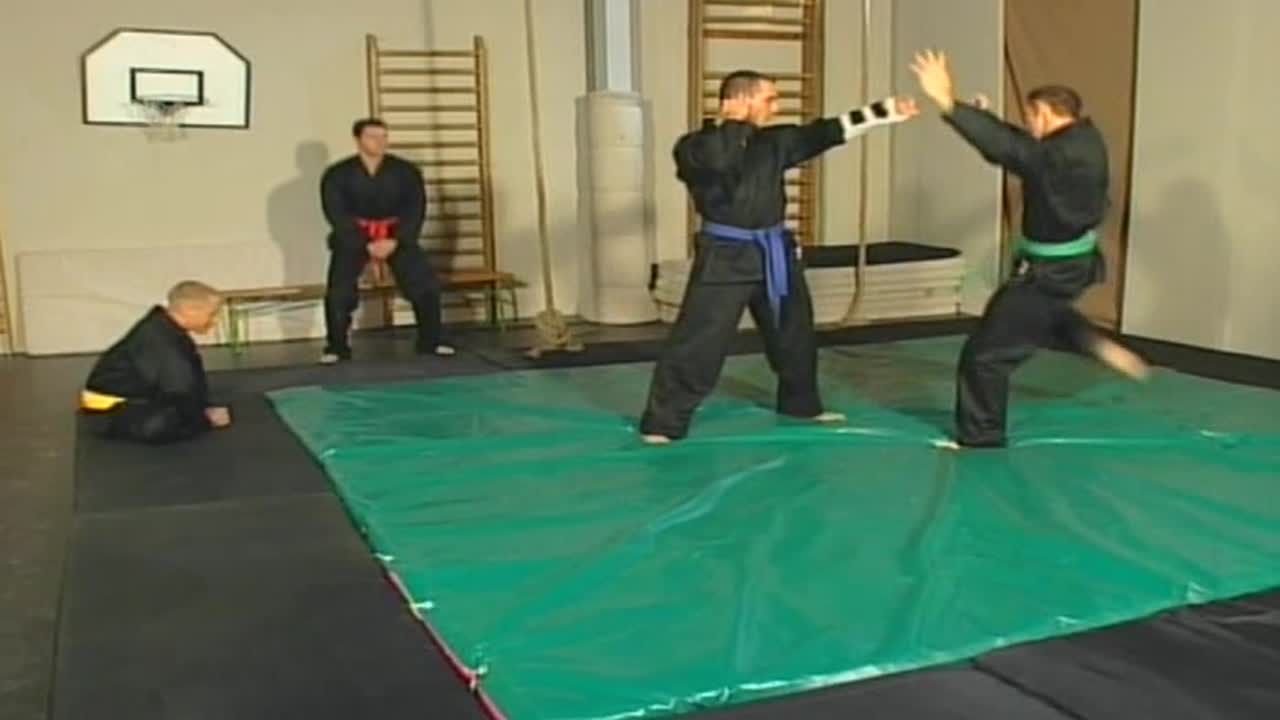 Revenge of Dragon 3