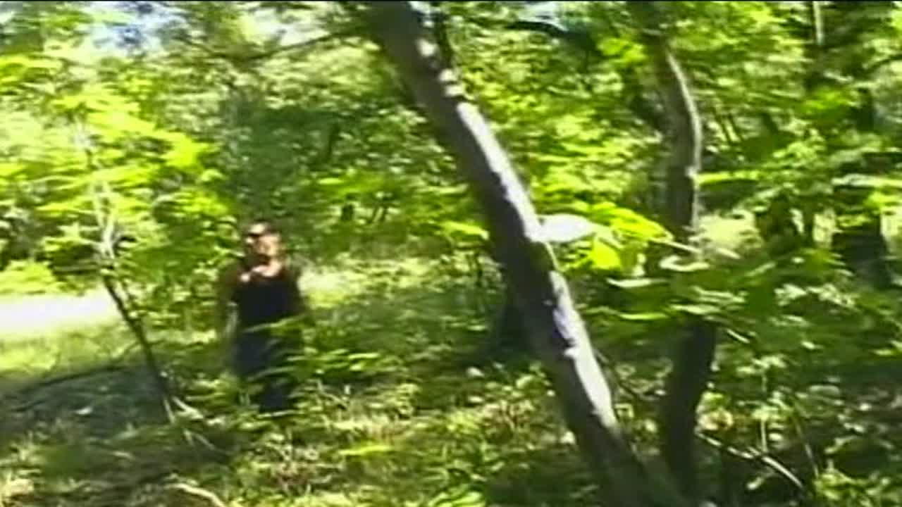 Tales of the Forest 3