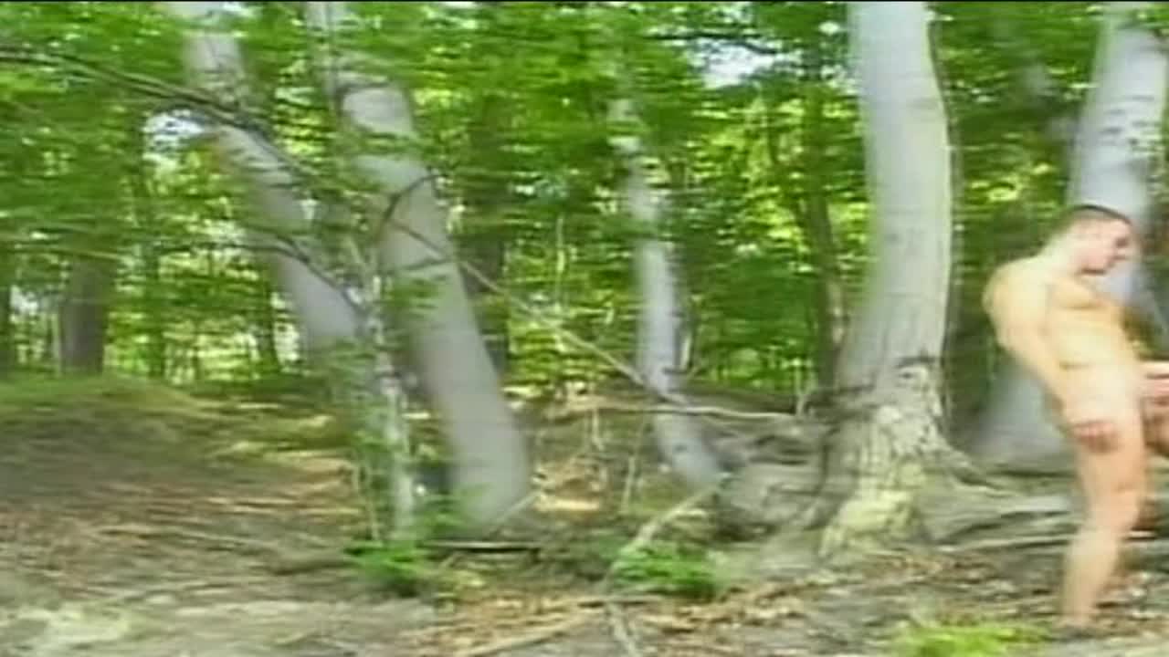 Tales of the Forest 4