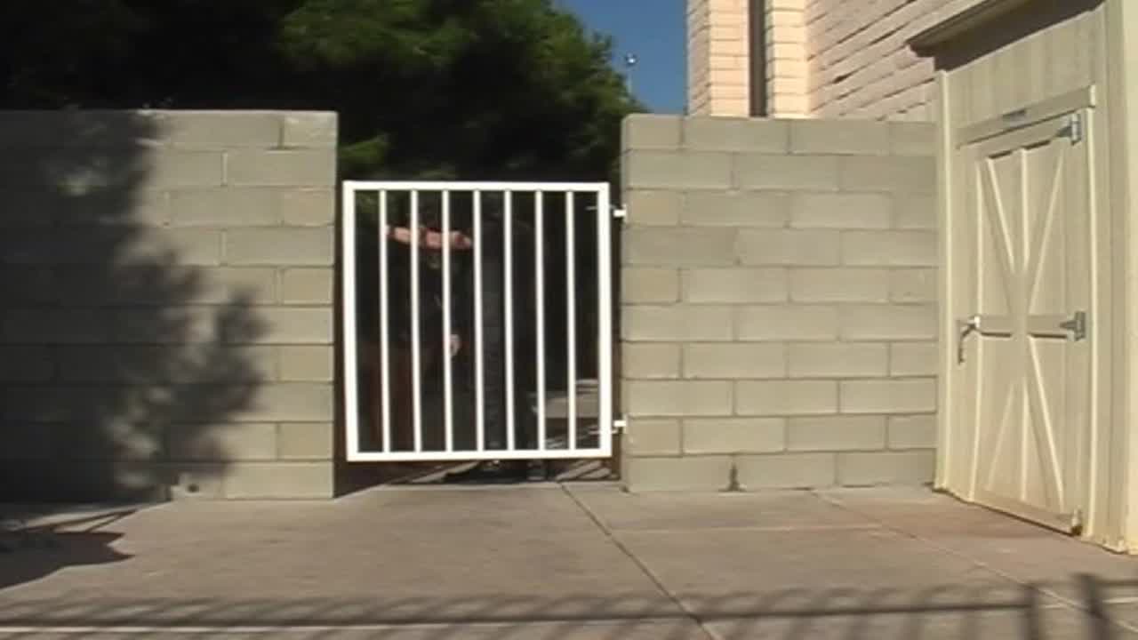 Night Shayde Leashed 3