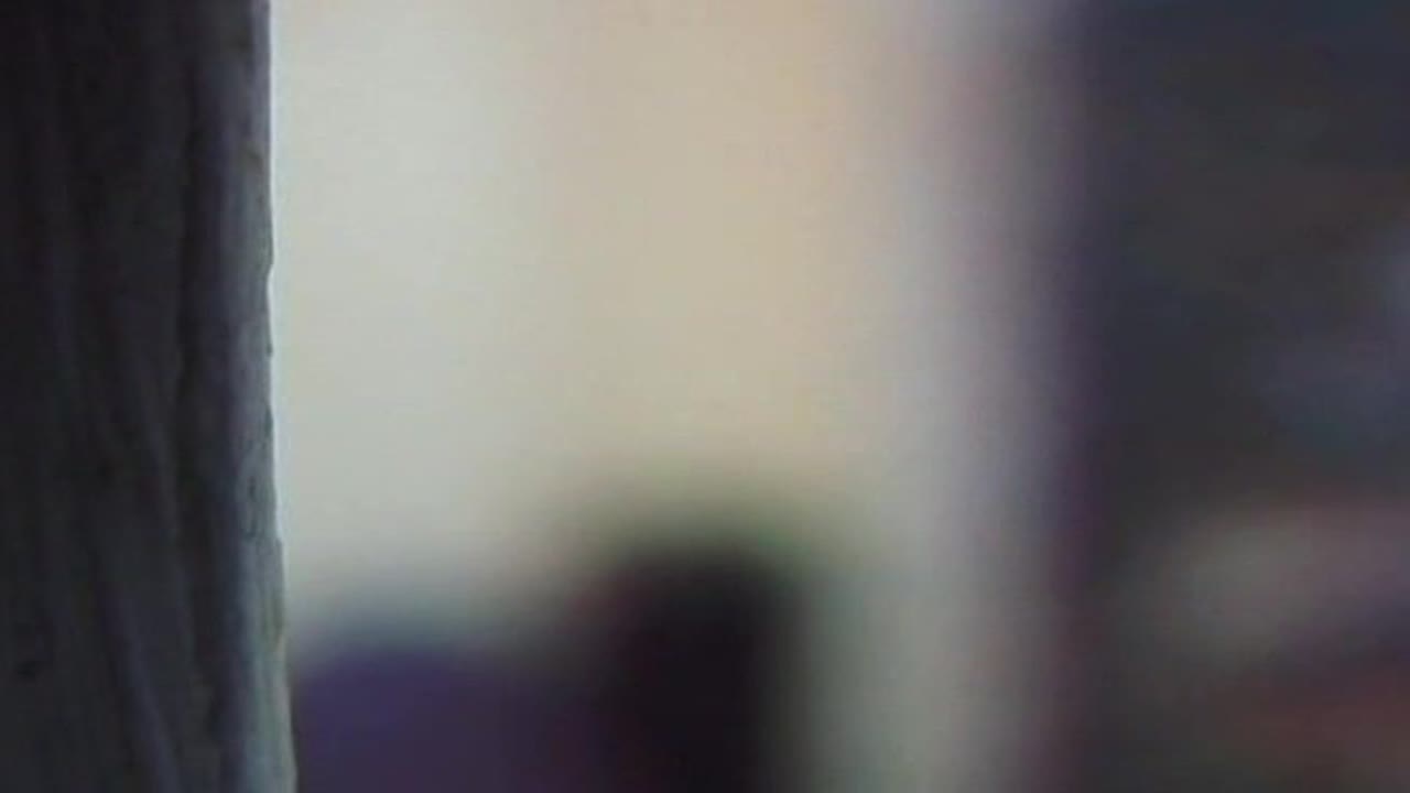 Straight Guys Caught on Tape Vol12 2