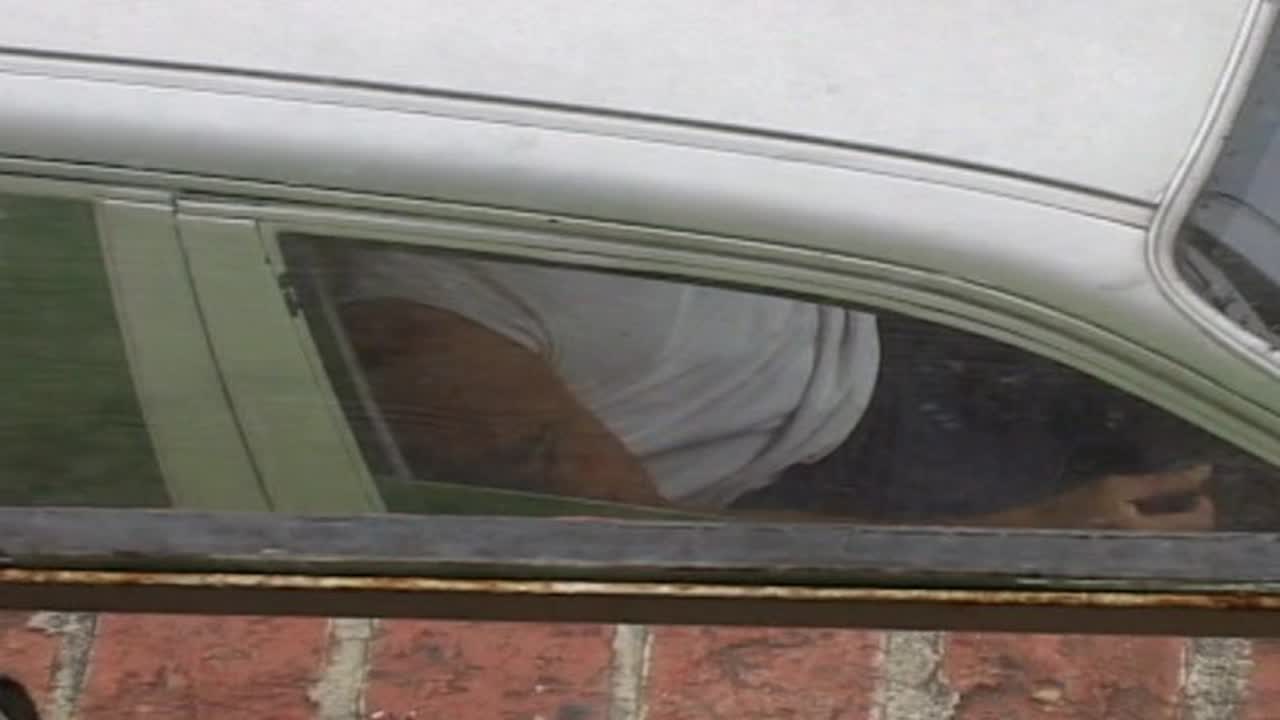 Straight Guys Caught on Tape Vol17 1