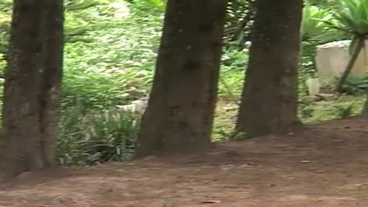Ass Hunters 1 1