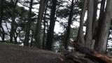 Cum Tax In The Woods scene photo 10