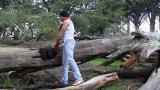 Cum Tax In The Woods scene photo 7