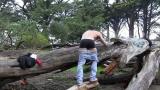 Cum Tax In The Woods scene photo 8