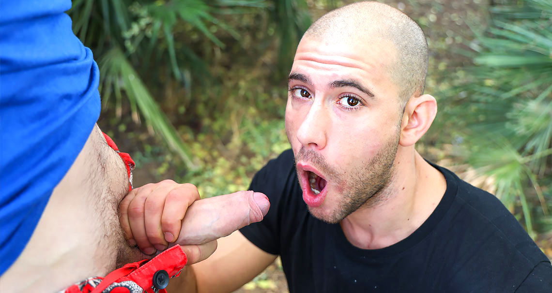 Public Stranger Cock