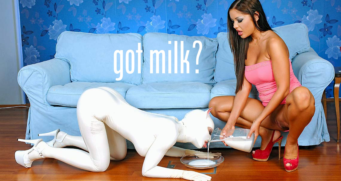 Life as a pet  poster