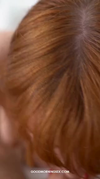 Hollandse porno reel