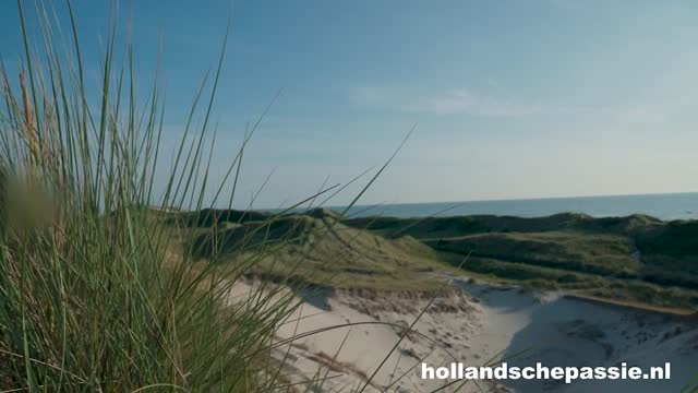 Screenshot uit Zand in je Naad!
