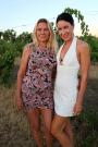 Public cumming at a vineyard scene photo 1
