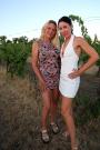 Public cumming at a vineyard scene photo 2
