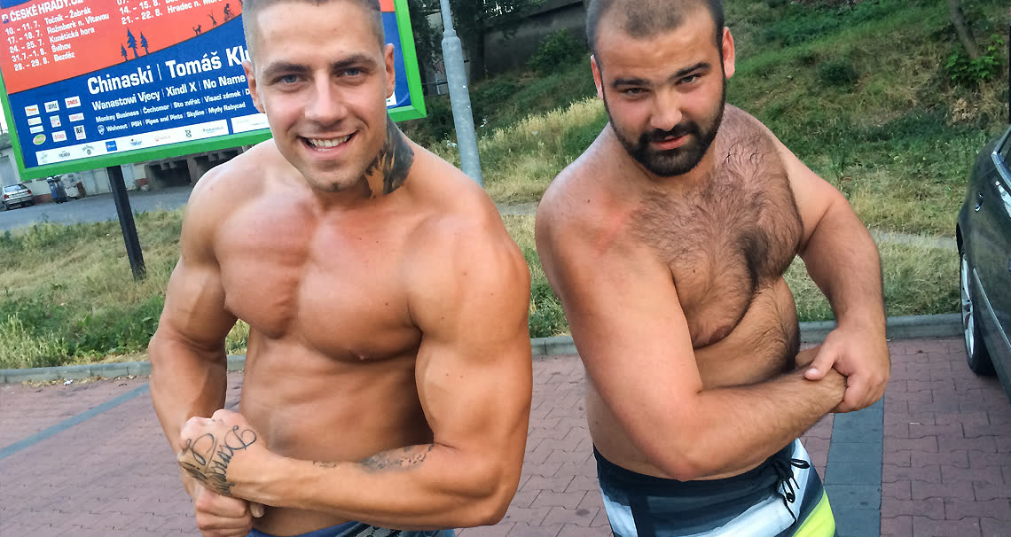 Bear vs Pitbull in Arm Wrestle Battle