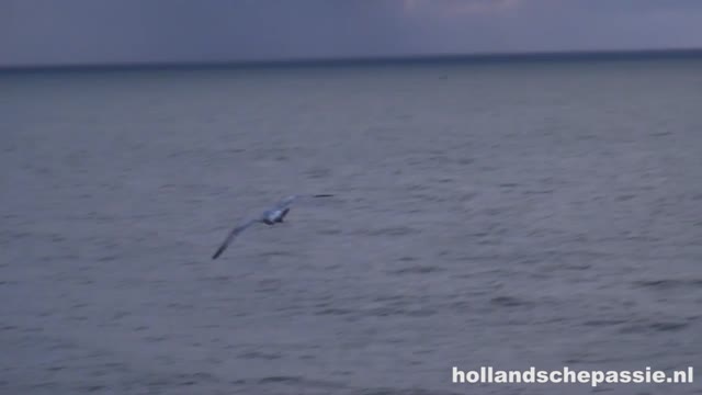 Screenshot uit Eerst wordt Morgan's rug ingesmeerd, daarna volgt haar natte kutje... in de duinen!