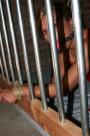 Cory bound and ballgagged in jail scene photo 6