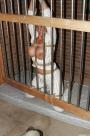 DeeDee's Jailhouse Blues scene photo 8