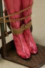 Doll Delivery Service 05 - Lilly on transport scene photo 9