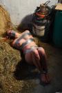 Taped Up Babe Rolling Down A Haystack scene photo 8