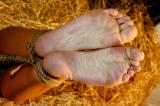 Natalie Hogtied Cleavegagged Haystack scene photo 10