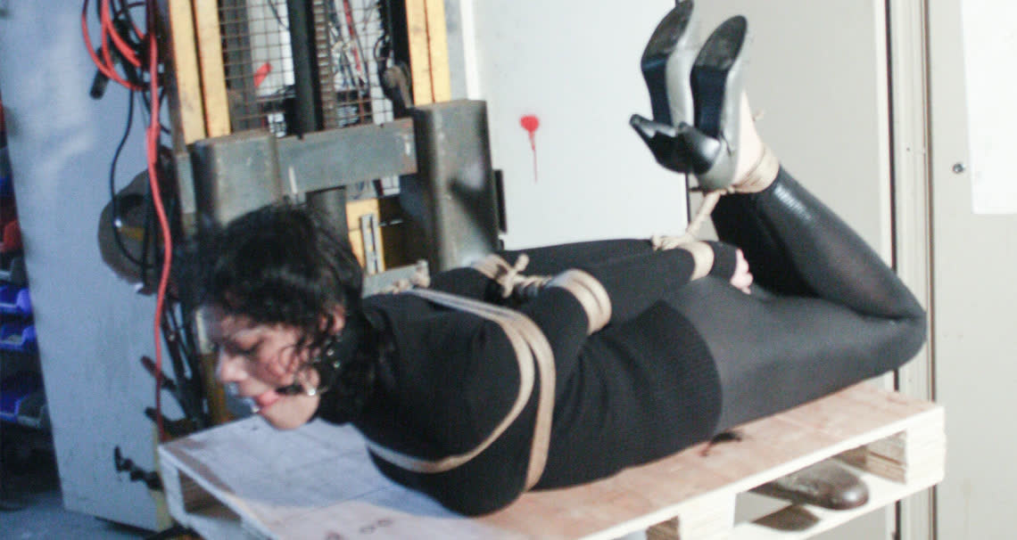Steffi Hogtied Ballgagged Forklifted