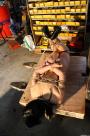 Leyla hogtied tapegagged forklifted scene photo 8